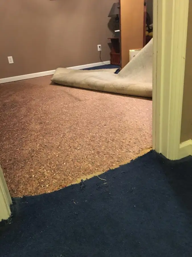 Carpet pad removal revealing water damage during Water Mitigation Services in Woodstock